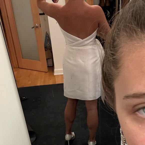 Sachin + Babi Verdance Dress size 6 - Picture 7 of 7